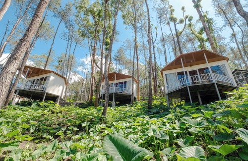 Kintamani Cabin | La Pino Mount Batur and Hot Spring