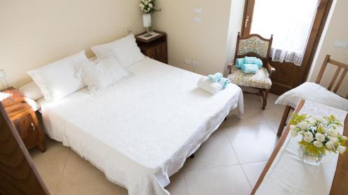 Massa Bed & Breakfast | La Querciolaia B&B