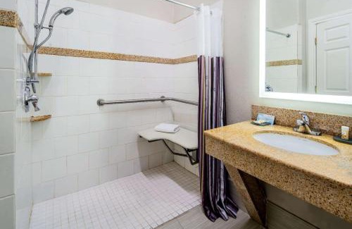 Alamo Hotel | La Quinta by Wyndham Alamo-McAllen East