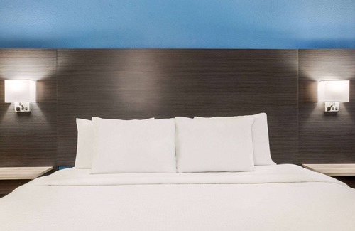 Live Oak Hotel | La Quinta Inn by Wyndham San Antonio I-35 N at Toepperwein
