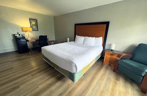 Westshore Hotel | La Quinta Inn Tampa Airport Stadium Westshore
