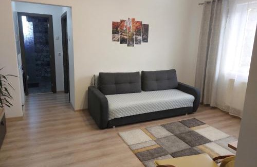 Lupeni Apartment | La Radu