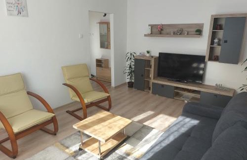 Lupeni Apartment | La Radu