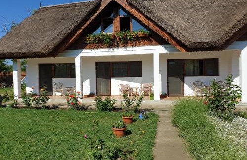 Chilia Veche House | La Raducu