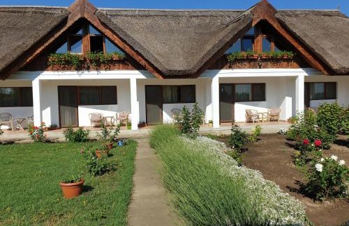 Chilia Veche House | La Raducu