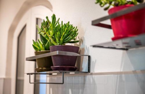 Cuneo Apartment | La Regia Apartment