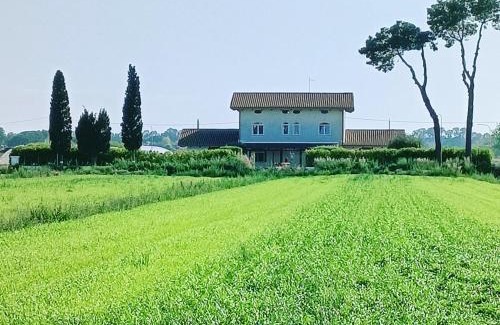 Capaccio Scalo Bed & Breakfast | La Ricarda Dimora di Campagna