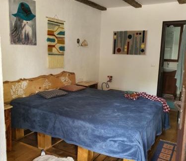 Sapinta Hotel | La Romaneasa