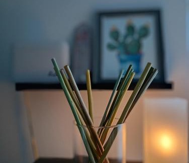 Bagnone Apartment | La Romanina