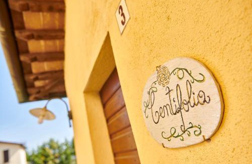 Citta di Castello Apartment | La Rosa