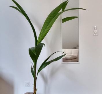 Cœur de Ville Apartment | La Savane de VICHY - 4 min GARE