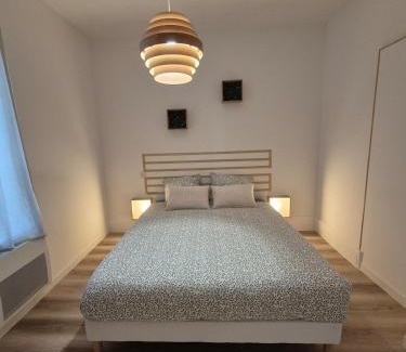 Cœur de Ville Apartment | La Savane de VICHY - 4 min GARE