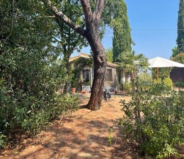 Le Piazze Apartment | La selva
