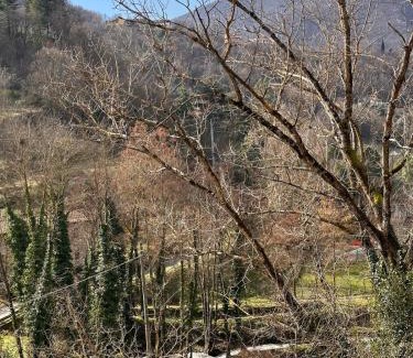 Londa Apartment | La sosta al lago
