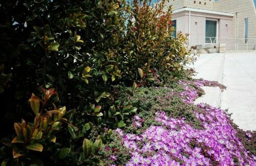 Lizzanello Bed & Breakfast | La Suite Negli Orti
