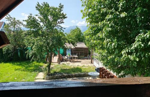 Dragus House | La Tataia Zahei