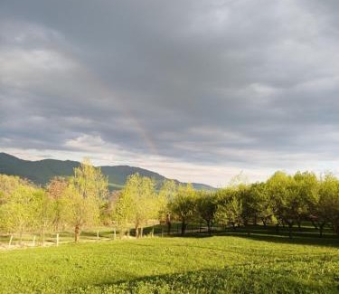 Oestii Paminteni Other | La tataie Nucșoara