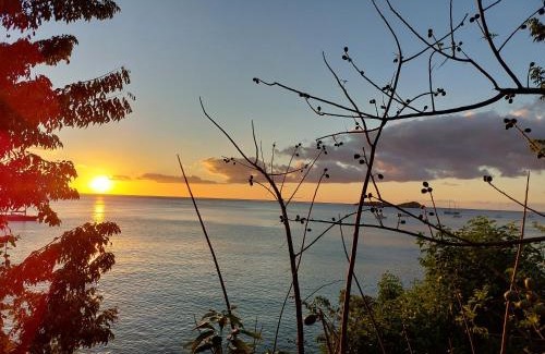 Malendure House | LA TERRASSE DES TORTUES