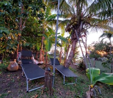 Malendure House | LA TERRASSE DES TORTUES