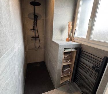 Thonon-les-Bains Apartment | La Terrasse Ouest