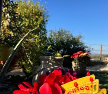 Carlentini House | La Terrazza di Cirico'