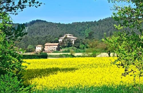 Santa Eulalia de Riuprimer Hotel | La Torre del Vilar