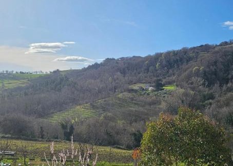 Colle San Valentino Bed & Breakfast | La valle delle api