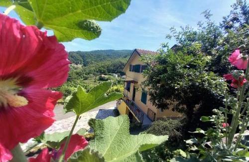Pignone House | La valle fiorita