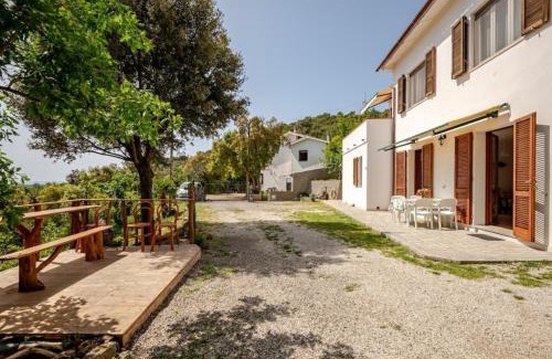 Vigne Giunche Apartment | La Vecchia Quercia