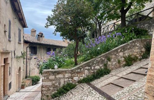 Trevi Apartment | La vecchia vite casa vacanze