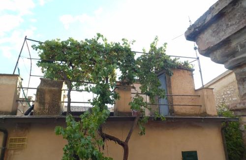 Trevi Apartment | La vecchia vite casa vacanze