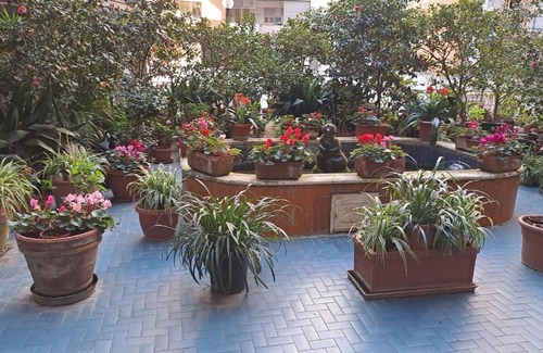 Rione Alto Apartment | La Veronica Apartment