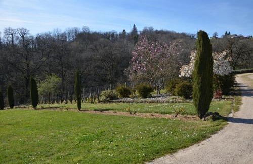 Albiac Apartment | LA VIGNERAIE
