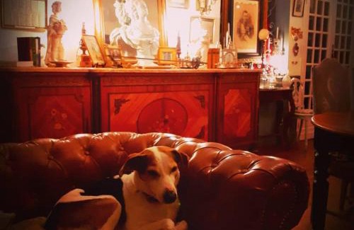Labastide-dArmagnac Bed & Breakfast | La Villa des Remparts