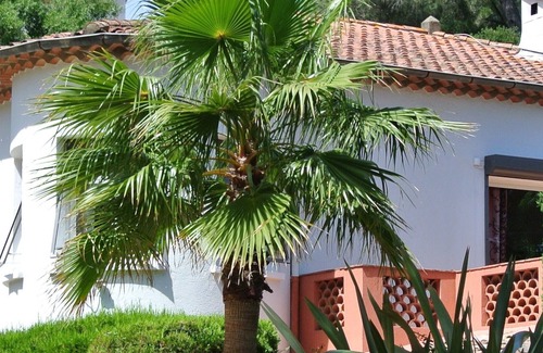 Sainte-Maxime Villa | La villa Siloé secure heated pool, green tranquility (sea 800 meters)