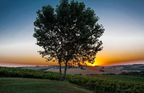 Morro d'Alba Apartment | La Vita Nuova Appartements - Appart B&B