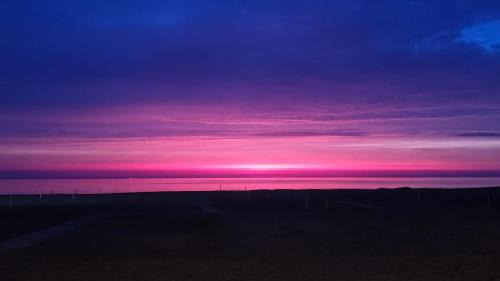 Vasto Villa | La Volpe Nella Pineta