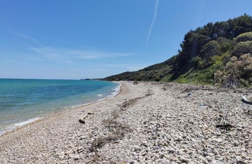 Vasto Villa | La Volpe Nella Pineta