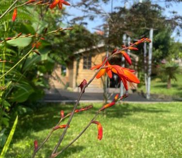 Bidart House | La Wodapalousa, Surf & Crossfit Guesthouse, 800m from Beach