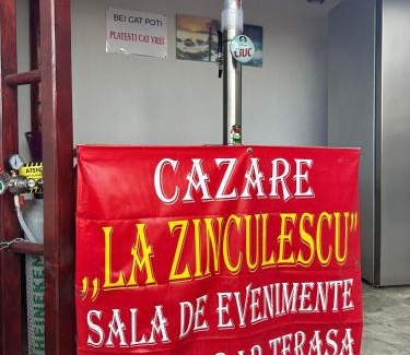 Albestii Paminteni House | La Zinculescu