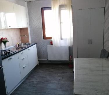 Fagaras Apartment | La Zonia
