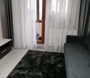 Fagaras Apartment | La Zonia