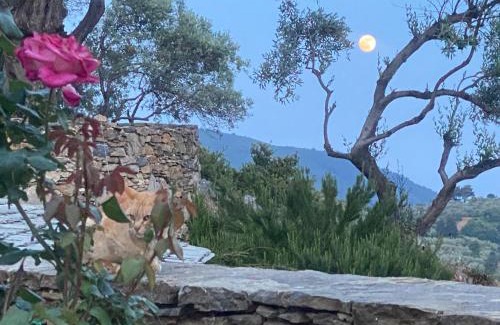 Skopelos Villa | Laas Daskios, Stone Country House, Skopelos Anania