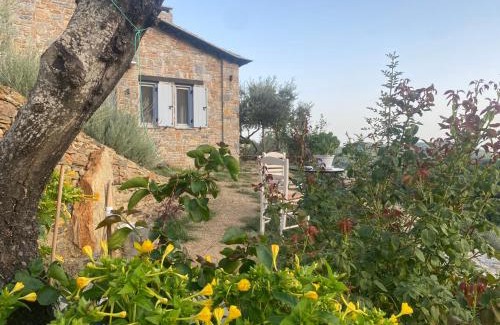 Skopelos Villa | Laas Daskios, Stone Country House, Skopelos Anania