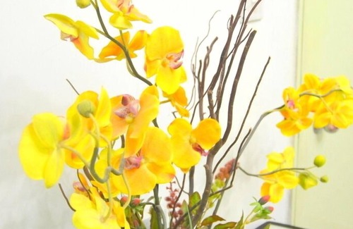 Mong Kok Apartment | @Ladies Market, 3 Bdrm good to 9pax