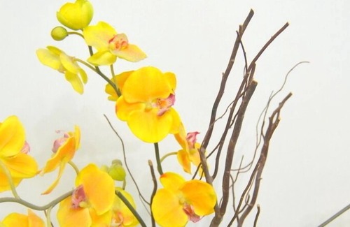 Mong Kok Apartment | @Ladies Market, 3 Bdrm good to 9pax