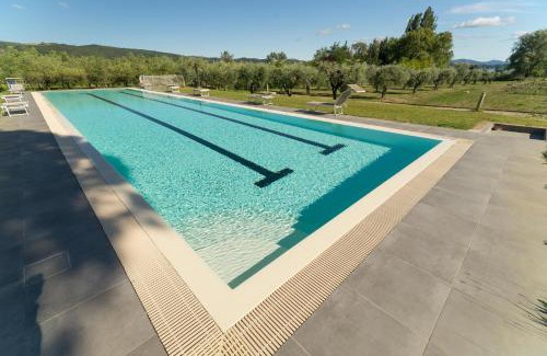 Passignano sul Trasimeno House | Lagolivo