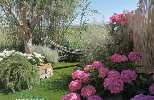 Maddalenedda Apartment | Lagoon Hause - Residenza Del Sole I U N Q7775