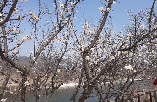 Chuncheon House | Lahoja Pension