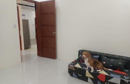 Malabanias House | Laika the Beagle's Home away from Home - Clark